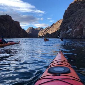 Meet your Posher, Harrison